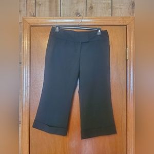 Express business capris